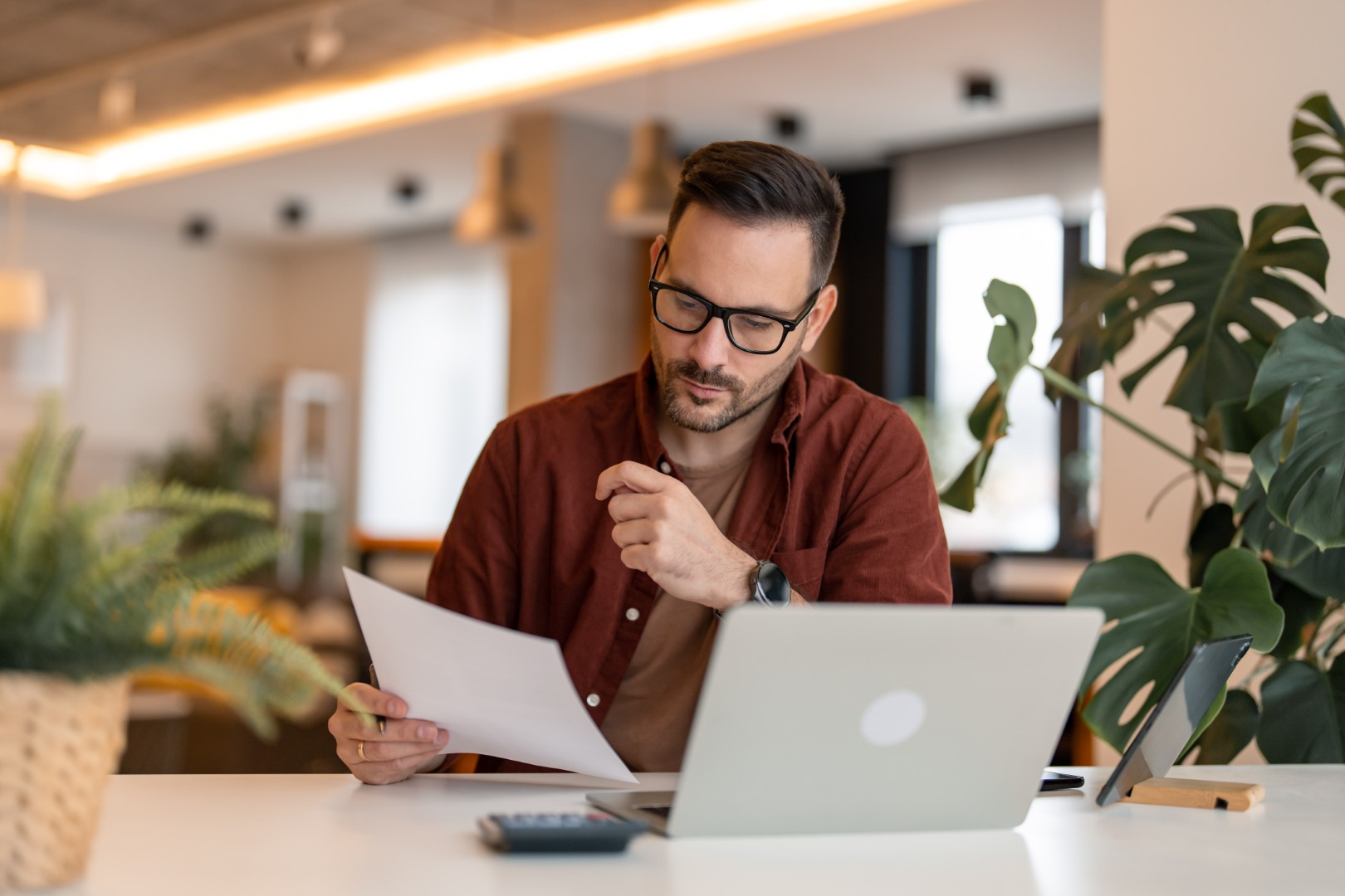 Modern small business website layouts across multiple devices